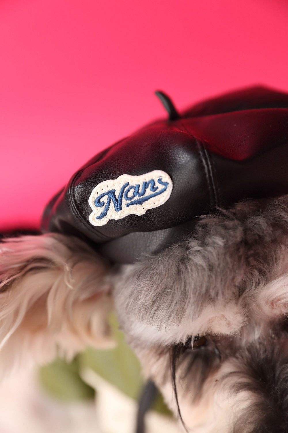 Trendy Pet Beret Black