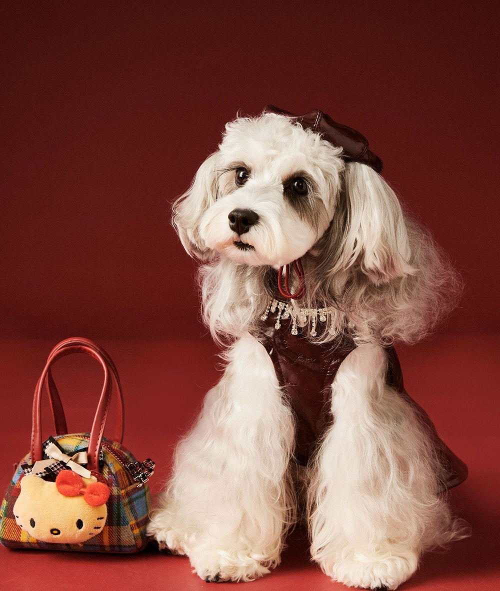Leather Beret Pet Dress with Hat