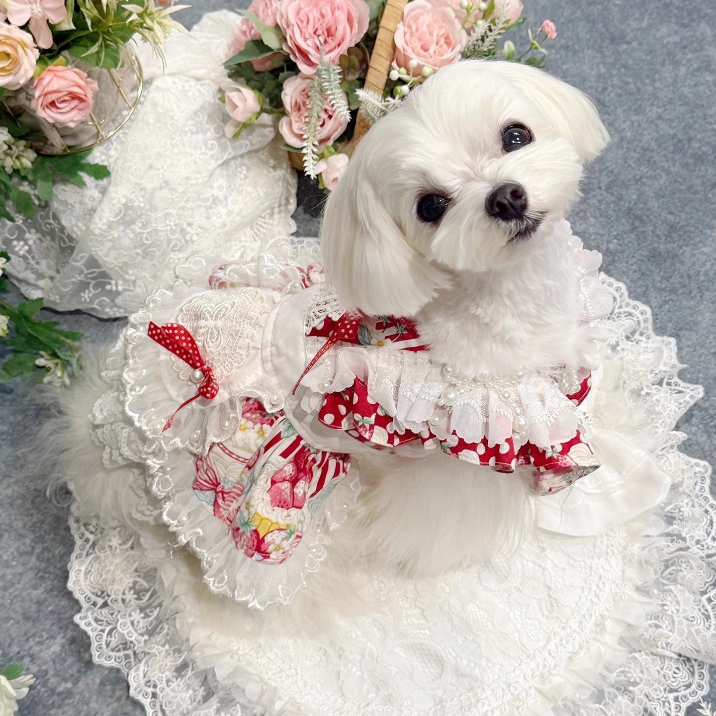 Sweet Lolita Pet Dress