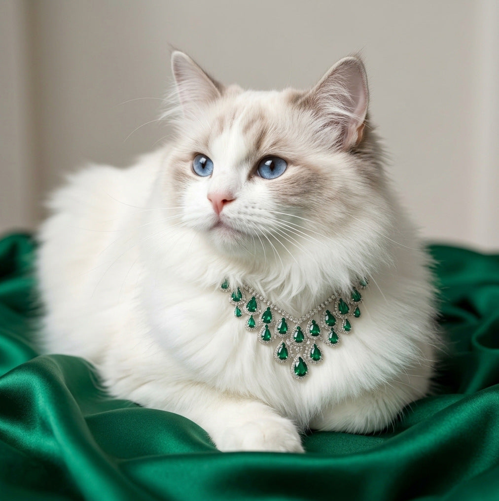 Statement Pet Necklace Gift Box Set