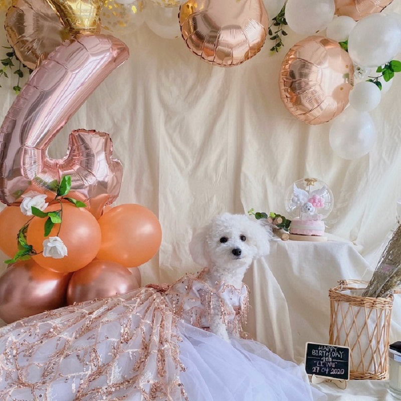 Handmade Luxury Sequin Dog Evening Dress with Train – Couture Gold Pet Gown for Weddings & Red Carpet Style