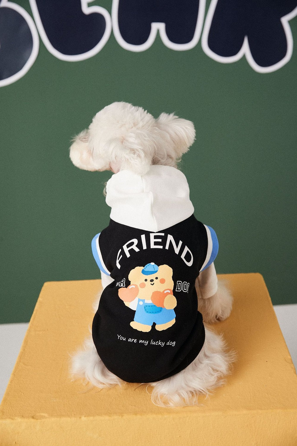 Buddy Bear Dog Hoodie Pet Clothing Black