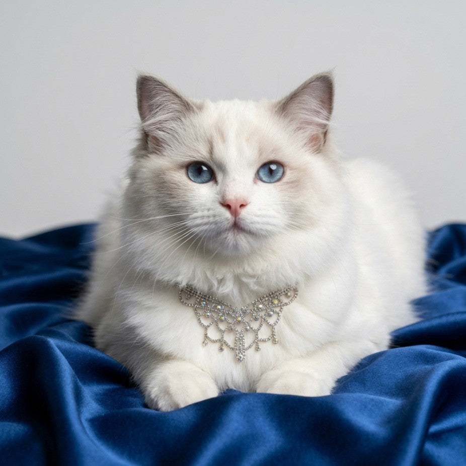 Silver Sparkle Pet Necklace Gift Box Set