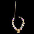 Gold Crown Pet Necklace Gift Box Set