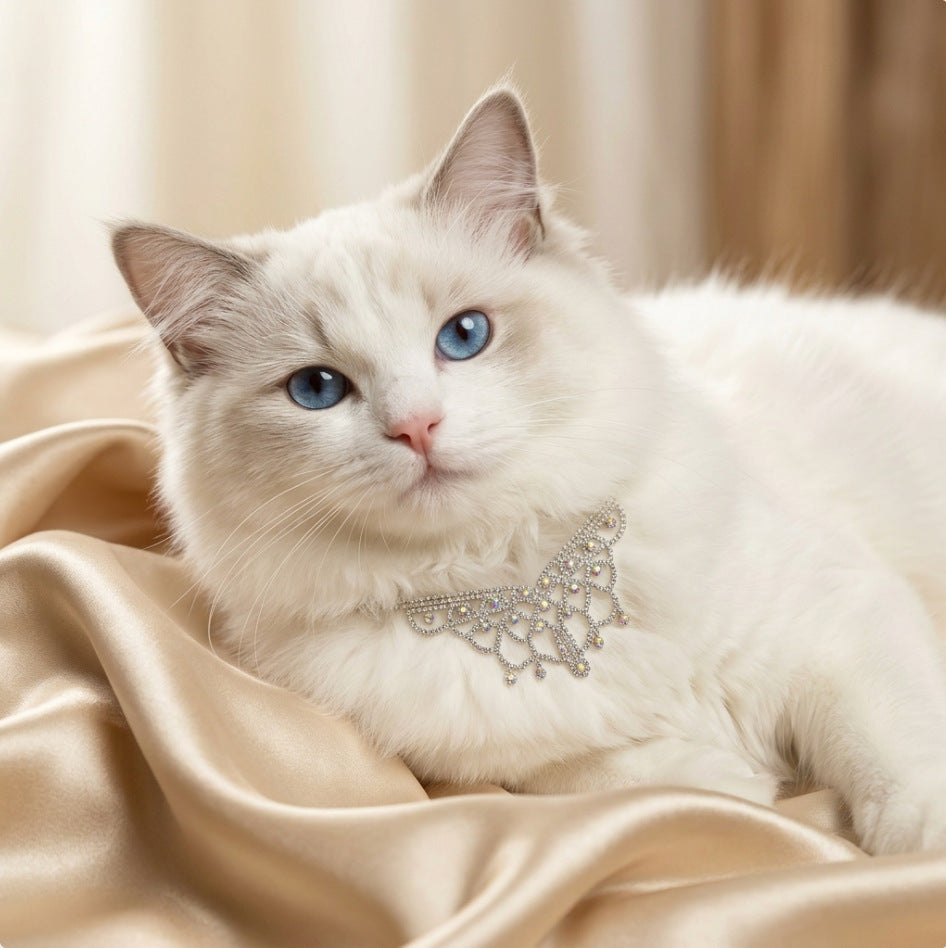 Silver Sparkle Pet Necklace Gift Box Set