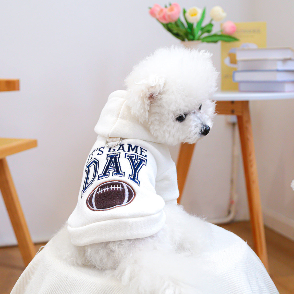 Game Day Dog Hoodie — Football Embroidery & Cozy Fleece