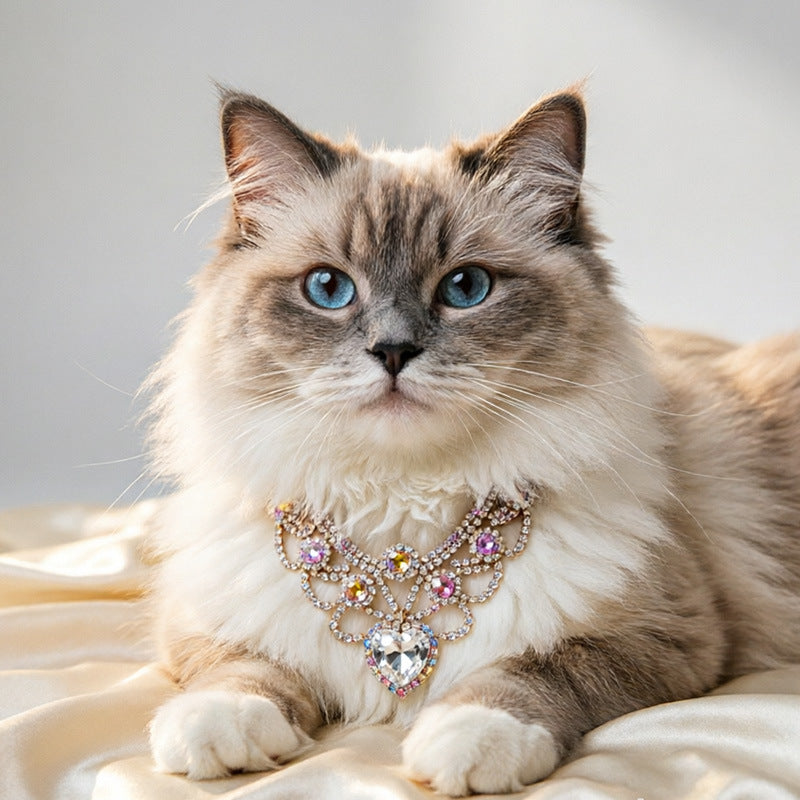 Iridescent Heart Pet Necklace Gift Box Set