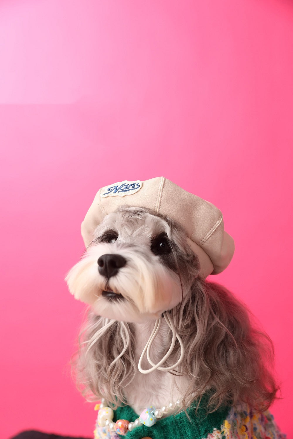 Trendy Pet Beret Beige