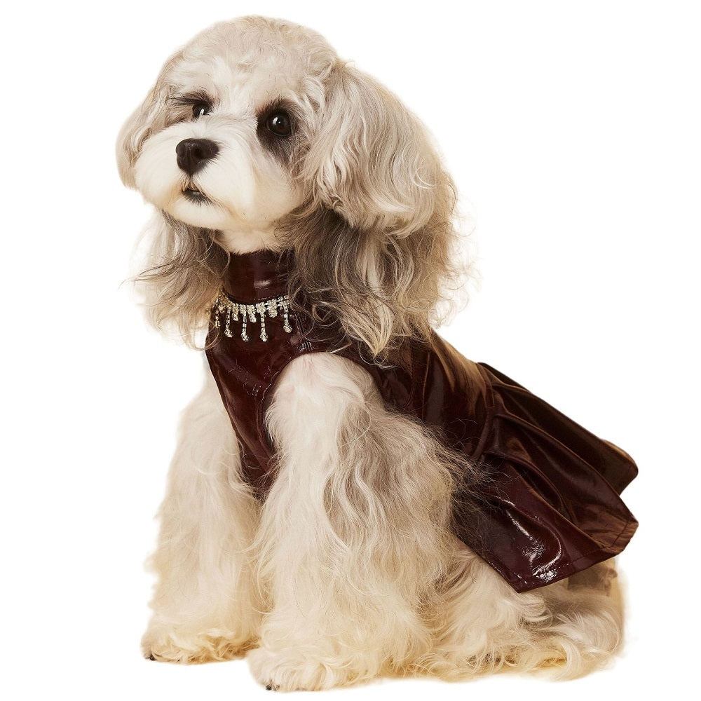 Leather Beret Pet Dress with Hat