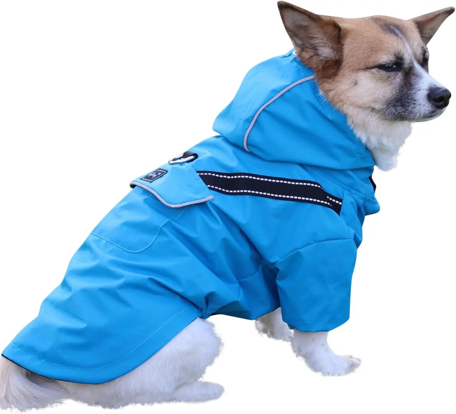 Outdoor Waterproof Dog Raincoat w/ Hood Reflective Sizes XS–XL in 4 Colors Blue