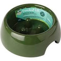 Forage Bowl for Small Animals