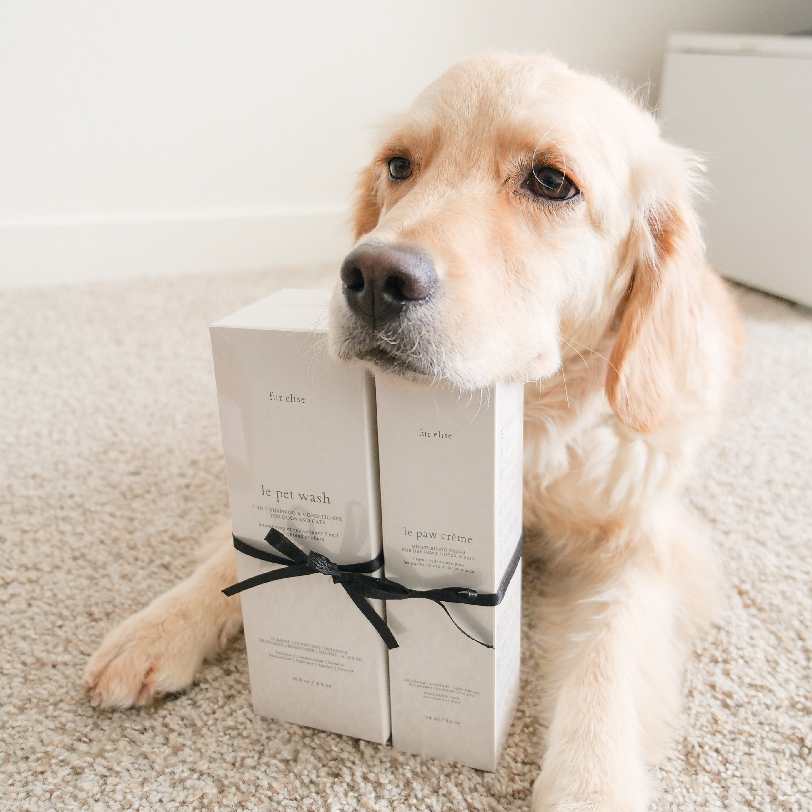 Fur Elise Le Pawsh Set