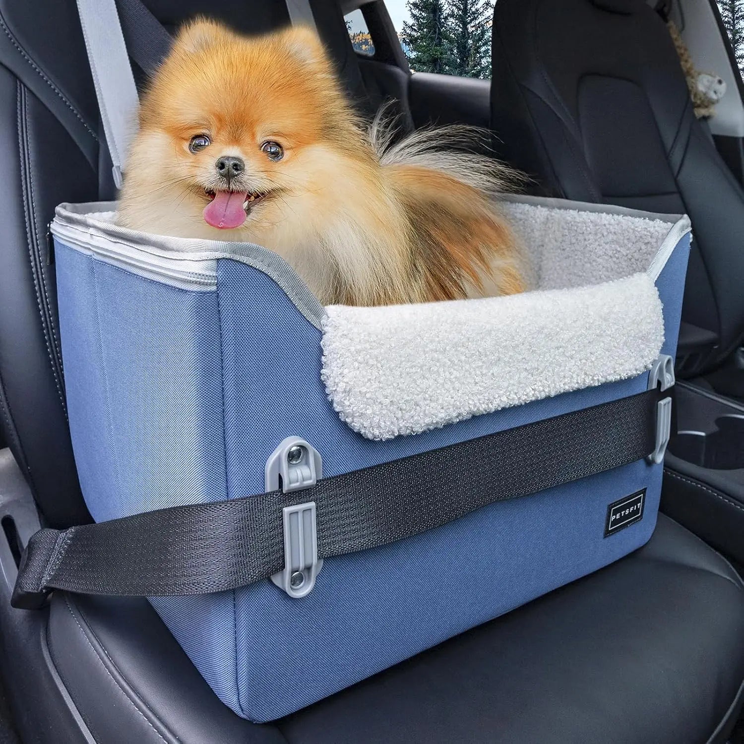 PETSFIT Small Dog Booster Car Seat with Safety Buckles & Tether, Foldable Navy Blue Oxford Cloth