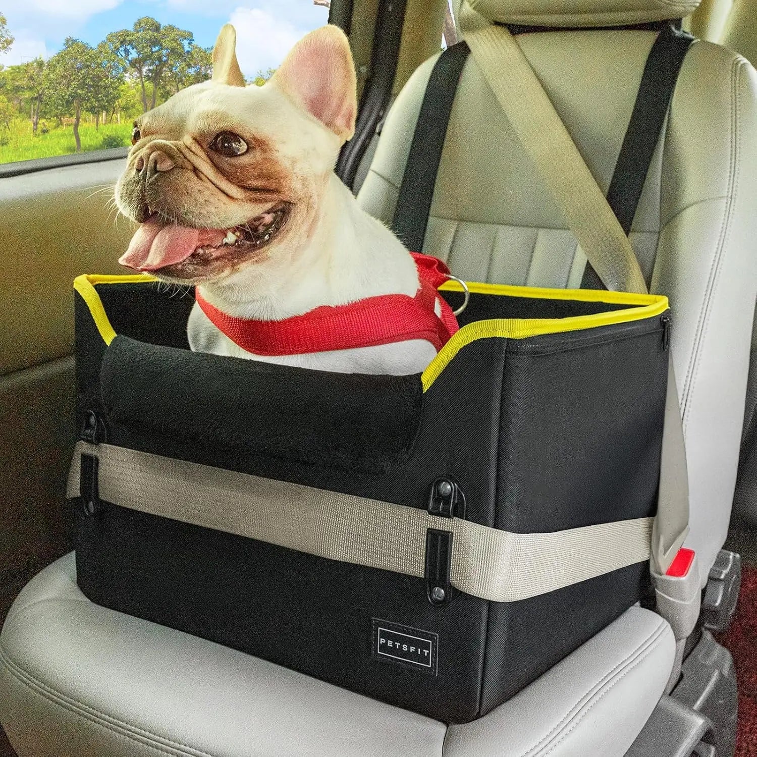 PETSFIT Small Dog Booster Car Seat with Safety Buckles & Tether, Foldable Black Oxford Cloth