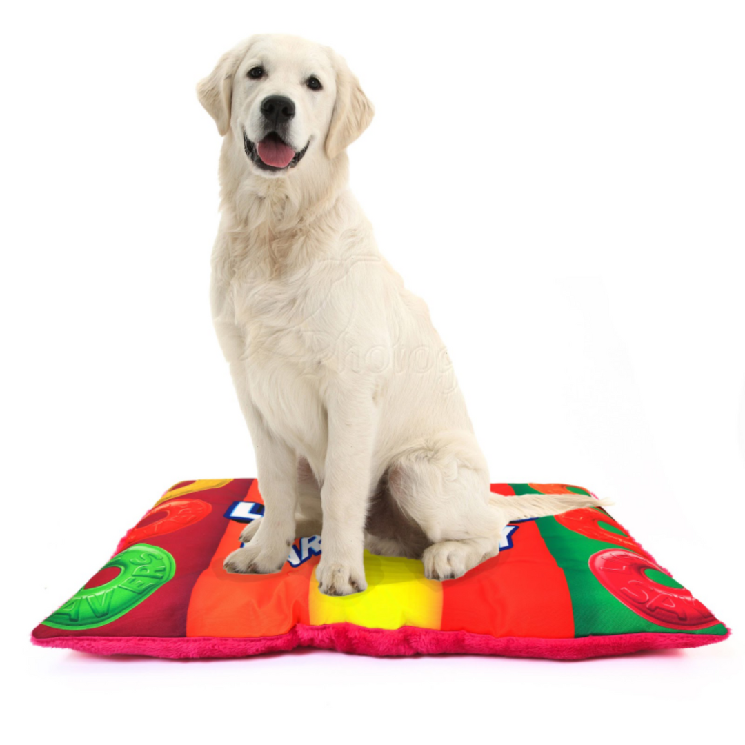 Lifesaver Pet Bed — Fun Round Dog & Cat Bed