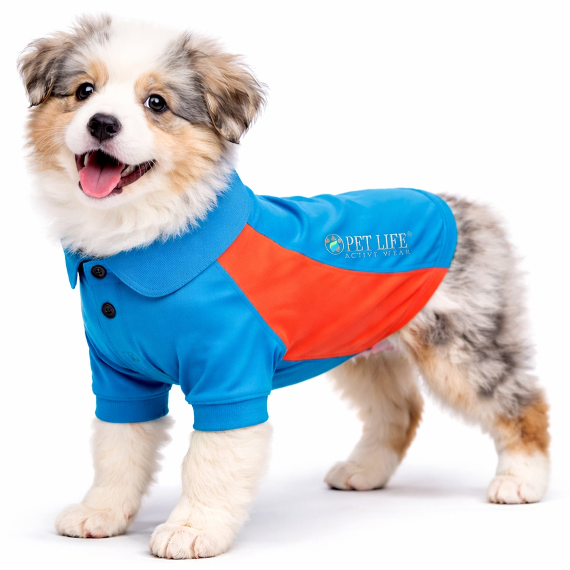 Pet Life ® Active 'Barko Pawlo' Relax-Stretch Quick-Drying Performance Dog Polo T-Shirt Light Blue