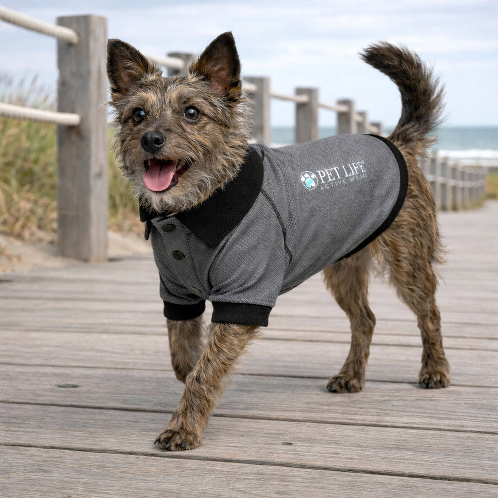 Pet Life ® Active 'Fur-Flex' Stretch and Quick-Dry Anti-Odor Fitness Yoga Dog Polo T-Shirt