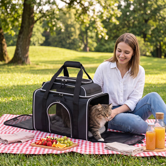 Foldable Pet Carrier with Wheels Airline Approved Rolling Cat and Dog Carrier-Black