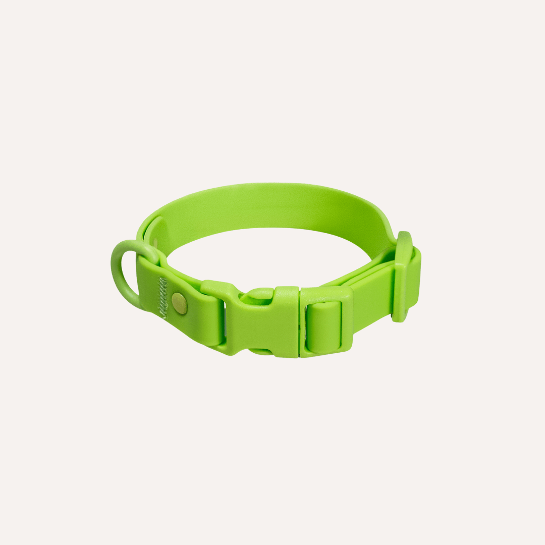 Tilley + Me PVC Dog Collar - All Weather Waterproof Durable & Odor-Resistant look at me lime