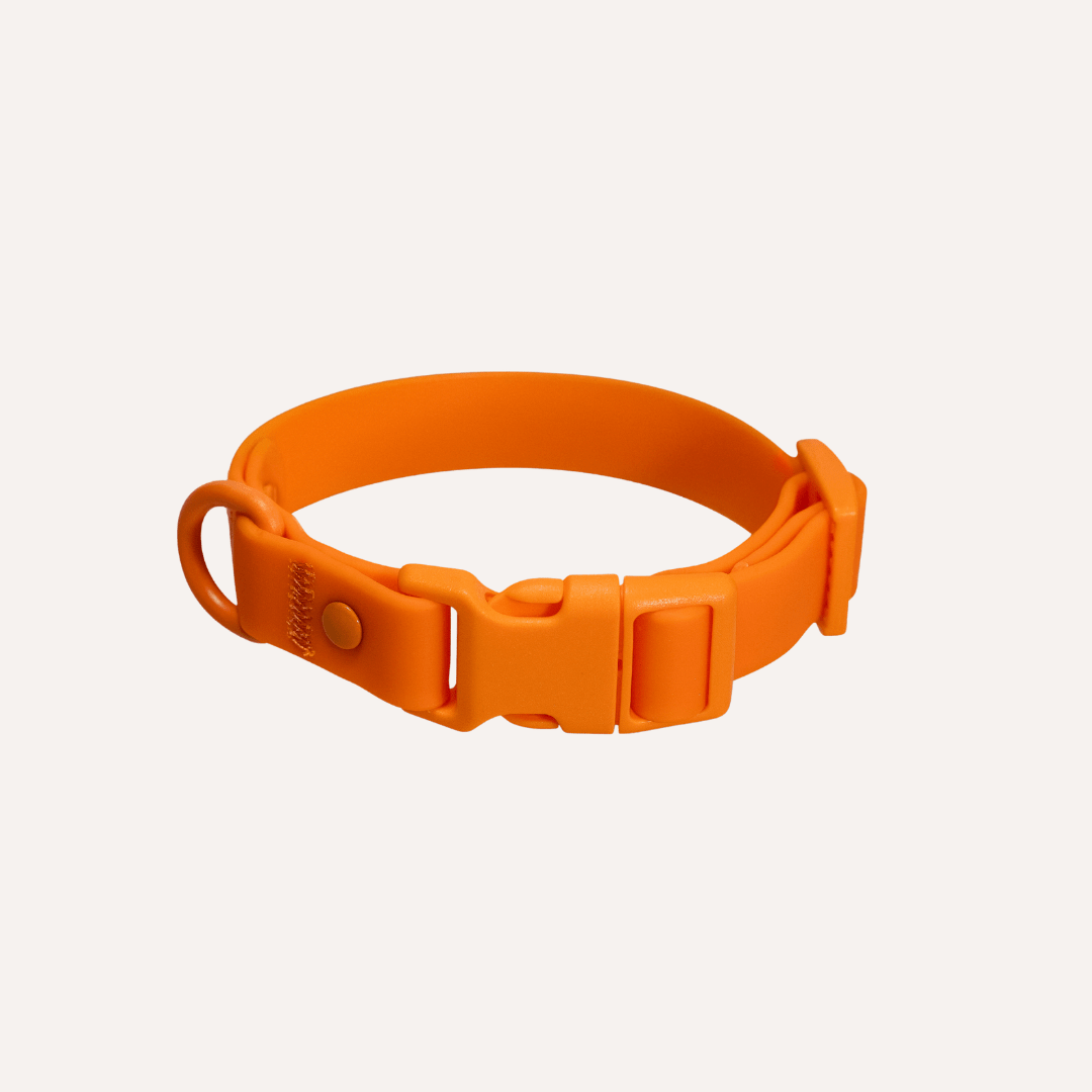 Tilley + Me PVC Dog Collar - All Weather Waterproof Durable & Odor-Resistant citrus orange