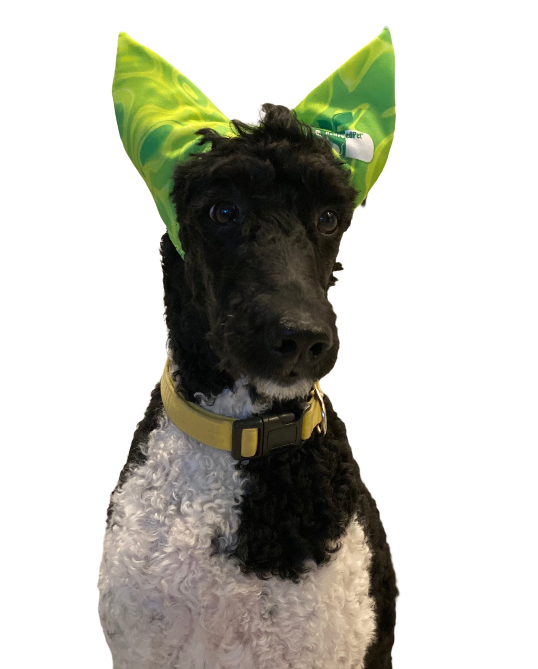 4-ALL PETS SHOWER / EAR / SUN CAP! Large Green Swirl (15-50 lbs.)