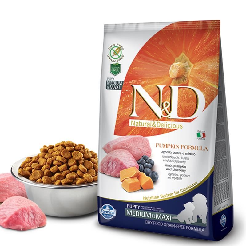 Lamb & Blueberry with Pumpkin Puppy Dog Food By Farmina 26.5 lbs (Med Max) (No shipping)