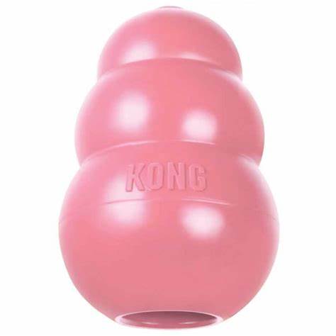 Kong Toy for Puppies