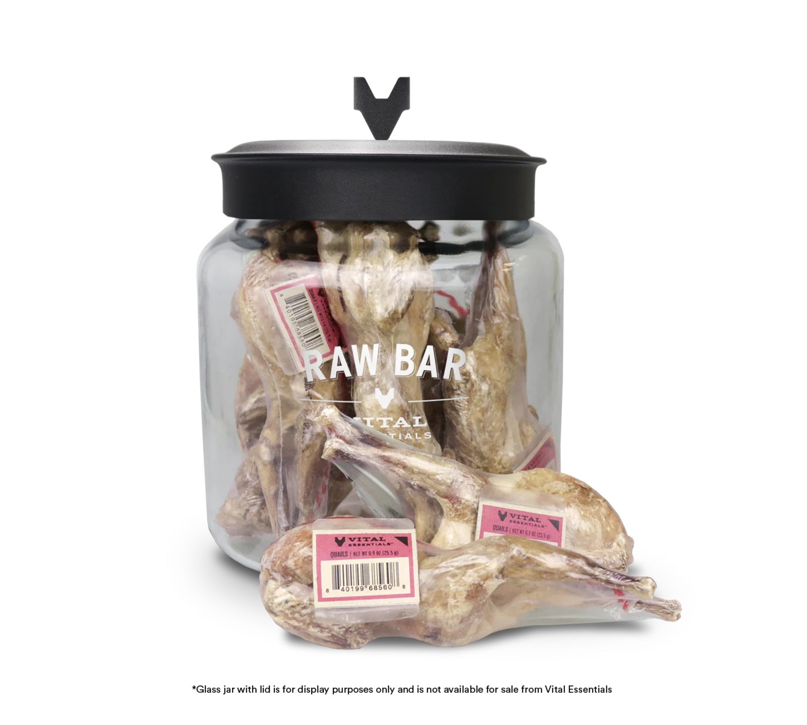 Quail - Freeze Dried Treats for Dogs & Cats Quail