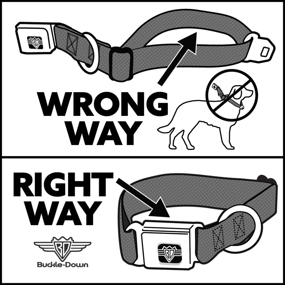 Dog Bone Seatbelt Buckle Collar - Flying Mallards Black