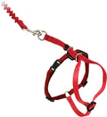 PetSafe Come with Me Kitty Harness and Bungee Leash, Red/Cranberry Large