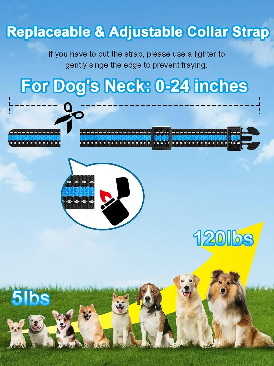 Remote Dog Training Collar for 2 Dogs – 3300FT, IP67 Waterproof, Rechargeable