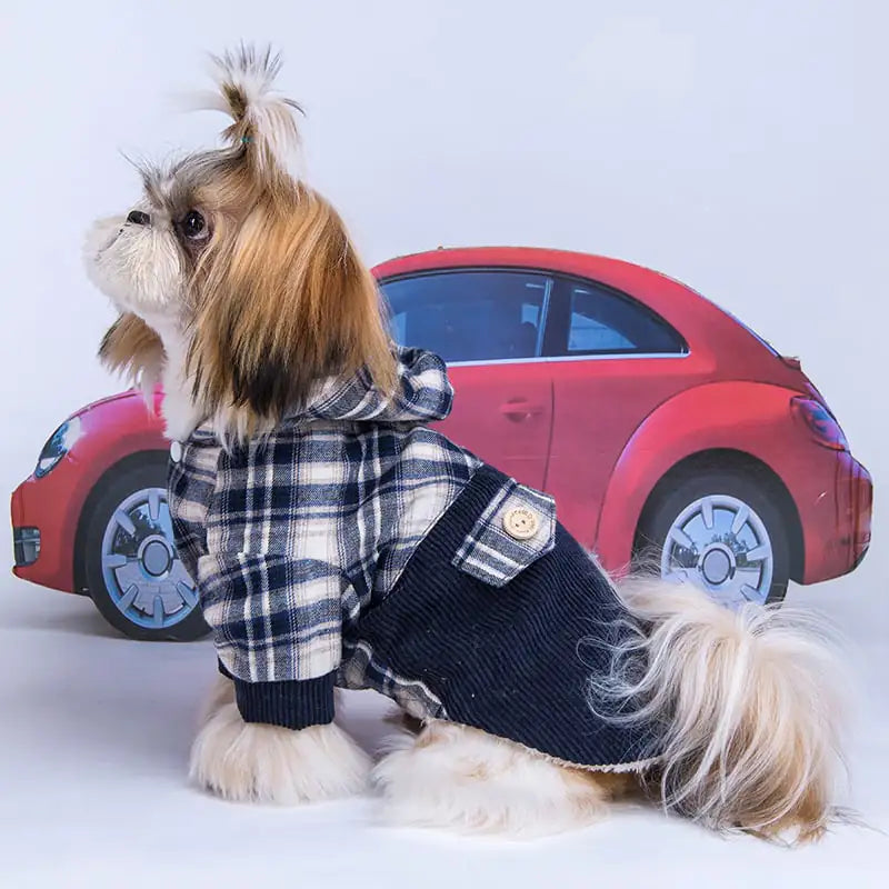 Teddy VIP Pomeranian Small Dog Cashmere Coat Tibetan blue L