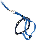 PetSafe Come With Me Kitty Nylon Cat Harness & Bungee Leash, Royal Blue/Navy Large