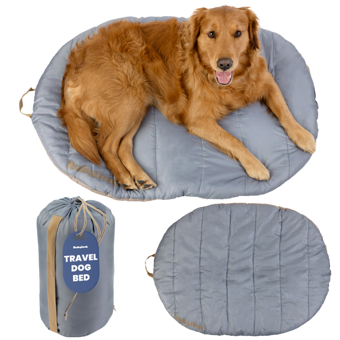 Travel Dog Bed - Foldable & Packable for Travel, Road Trip, Camping Foggy Trail Grey Large