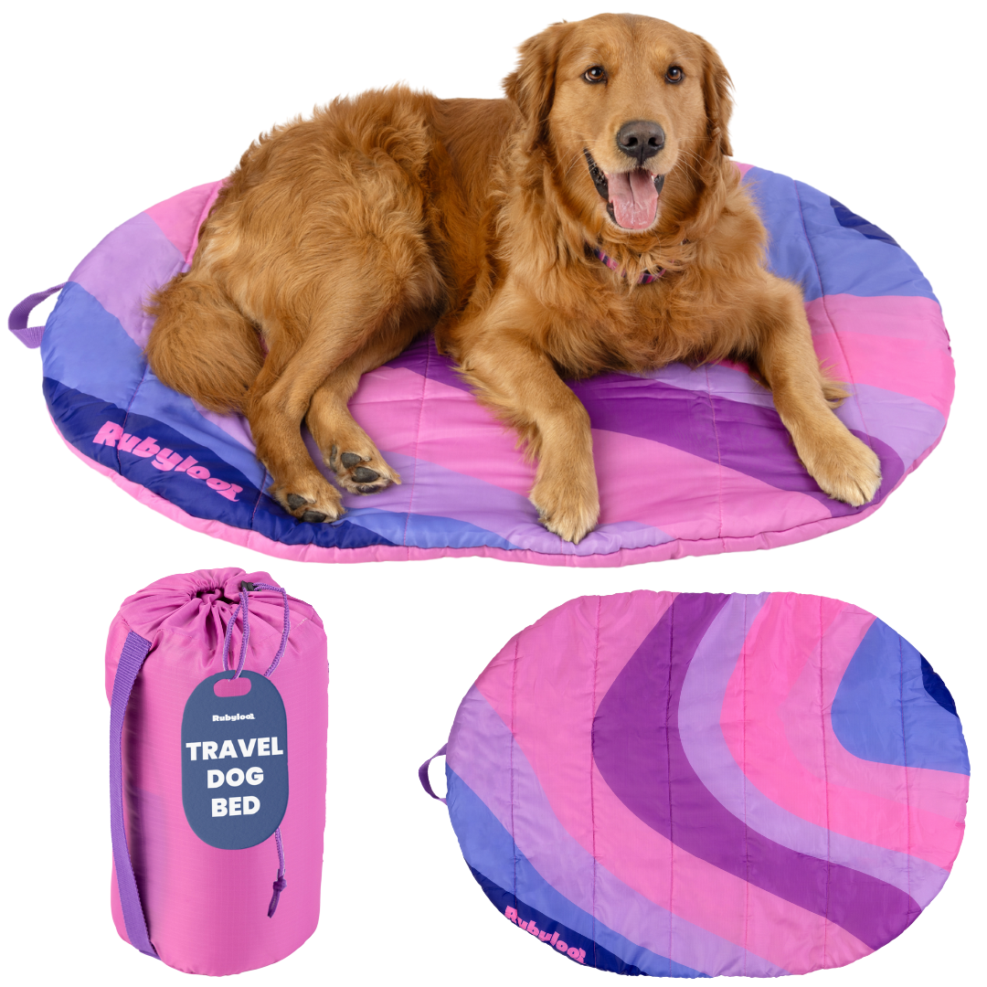 Travel Dog Bed - Foldable & Packable for Travel, Road Trip, Camping Pink Horizon Large