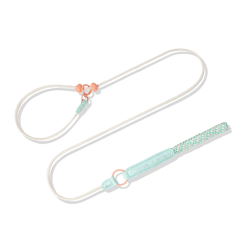 New Durable Nylon Pet P Chain Dogs Slip Training Lead Adjustable Puppy Dog Training Leash Collar For Small Medium Large Dogs Pink China Mainland