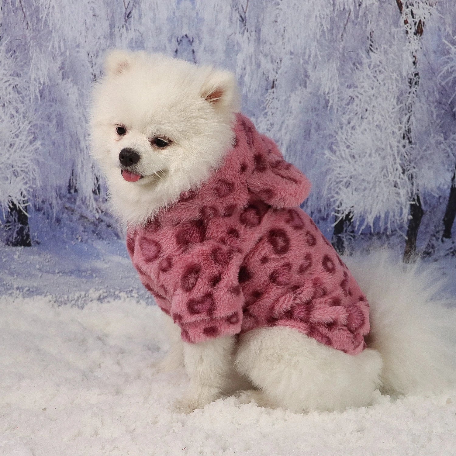 Pet Warm Clothes for Dog Cat Puppy Jacket with Lovely Ear Hat Fuzzy Coat Sweatshirt Dog Costume Outfits for Small Medium Dog fo