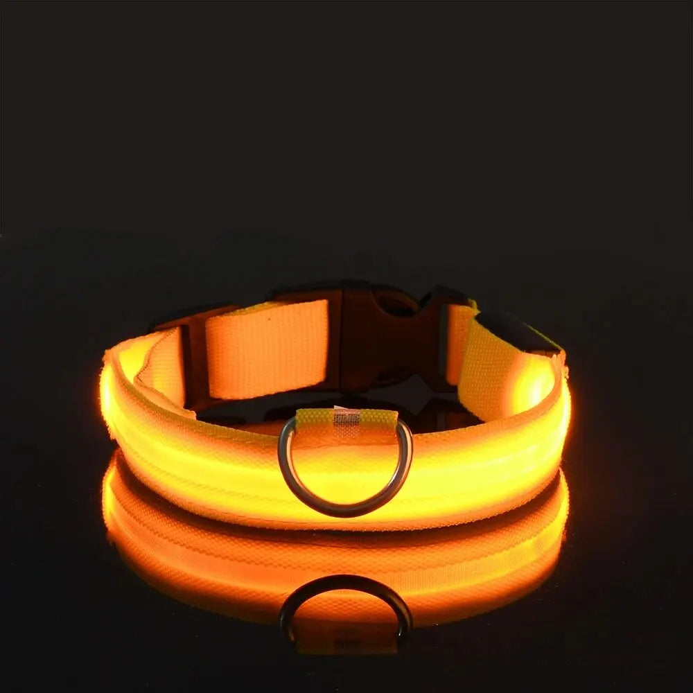 LED Glow Dog Collar – Nylon Luminous Fluorescent Safety Collar with Flashing Lights Yellow