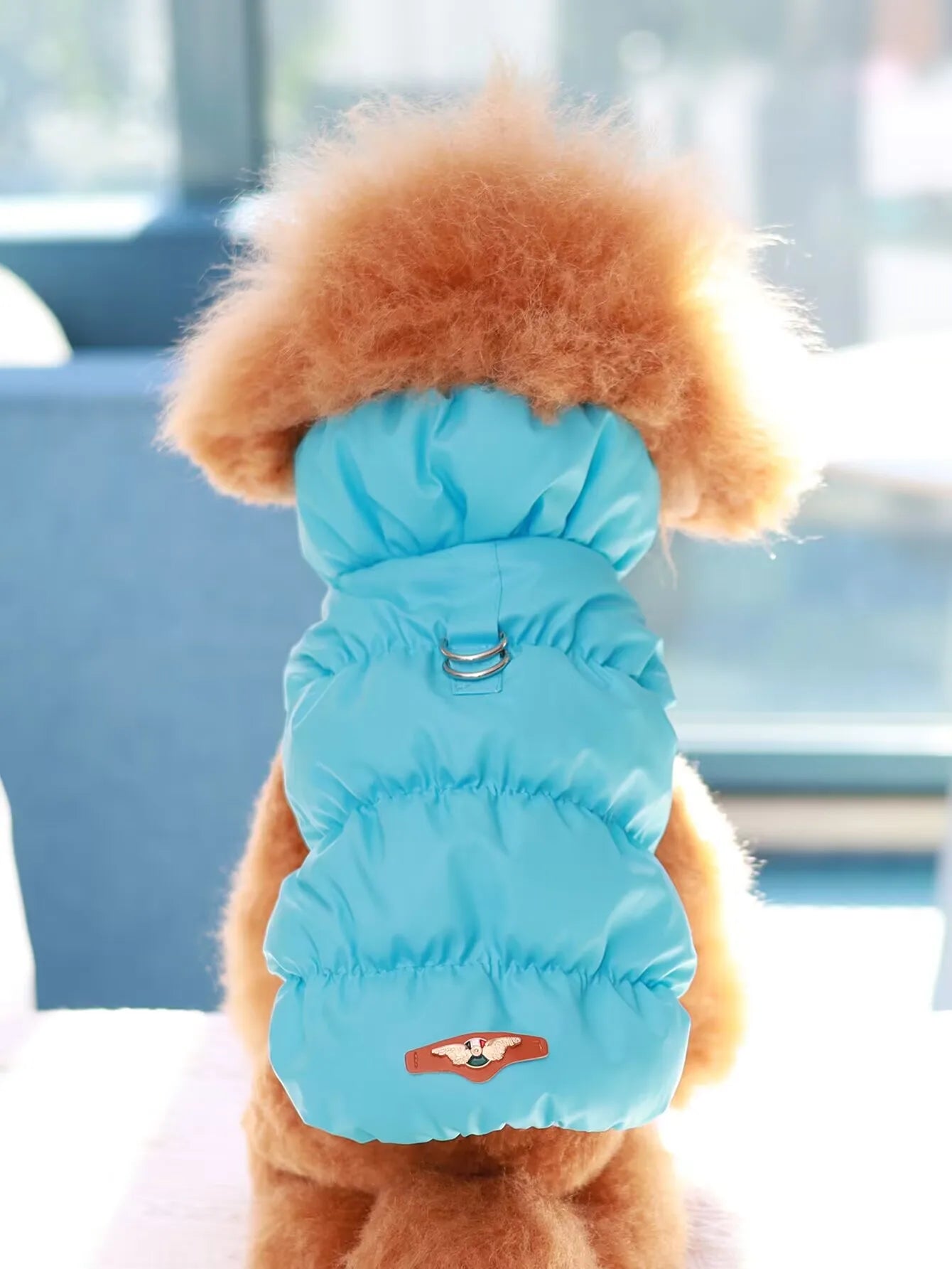 Dog Jacket For Autumn/Winter, Pet Coat, 3-Layer Thick Warm Outerwear, Suitable For Small To Medium Dogs Like Poodle, Teddy, York Navy Blue