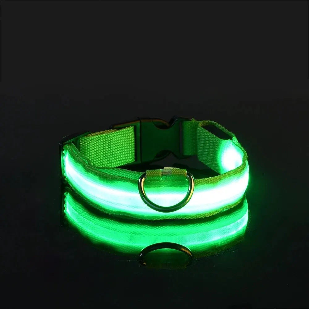 LED Glow Dog Collar & Leash Set – Nylon Luminous Reflective Safety Flashing Night Light for Pets Green