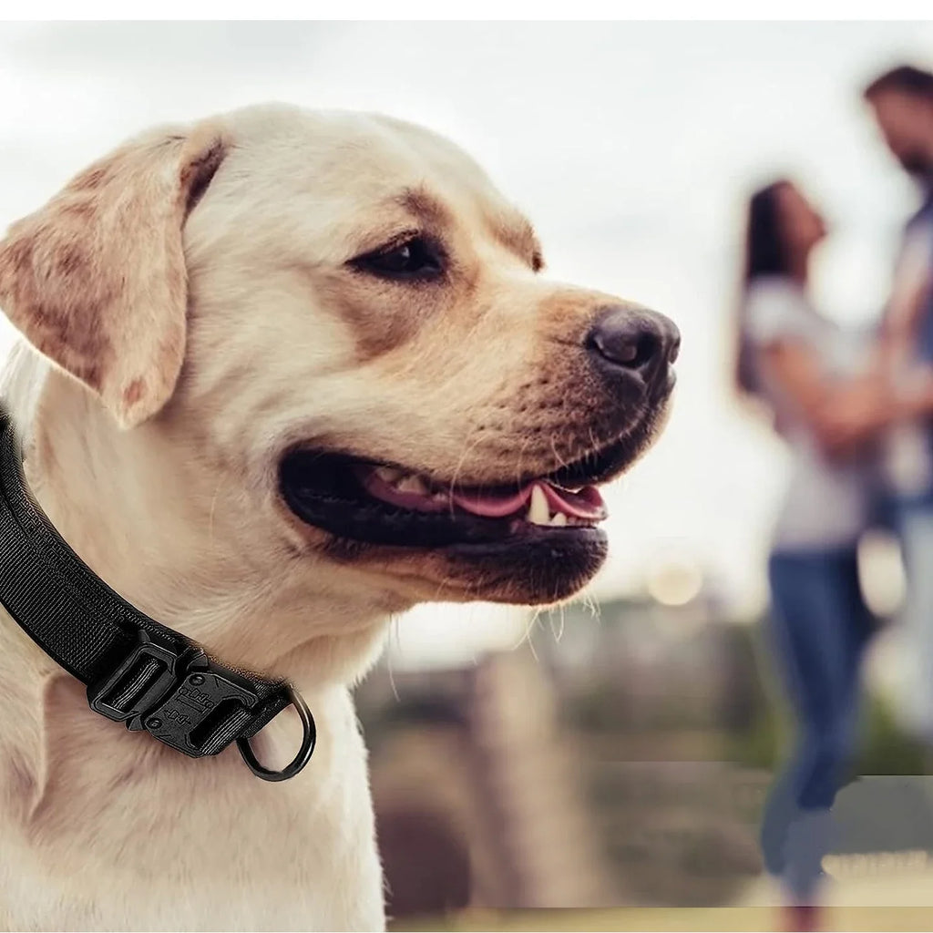 Tactical Dog Collar Leash Set Heavy-duty Military Dog Collar with Handle and Metal Buckle for Small Medium Large Dogs Necklace