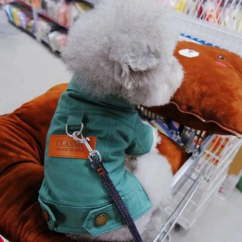 Clothing for Dog Suit Dogs Dress Dachshund Puppy Clothes Corgi Medium Hoodie Costume Pet Accessories Coat Small Breeds Summer Green China Mainland