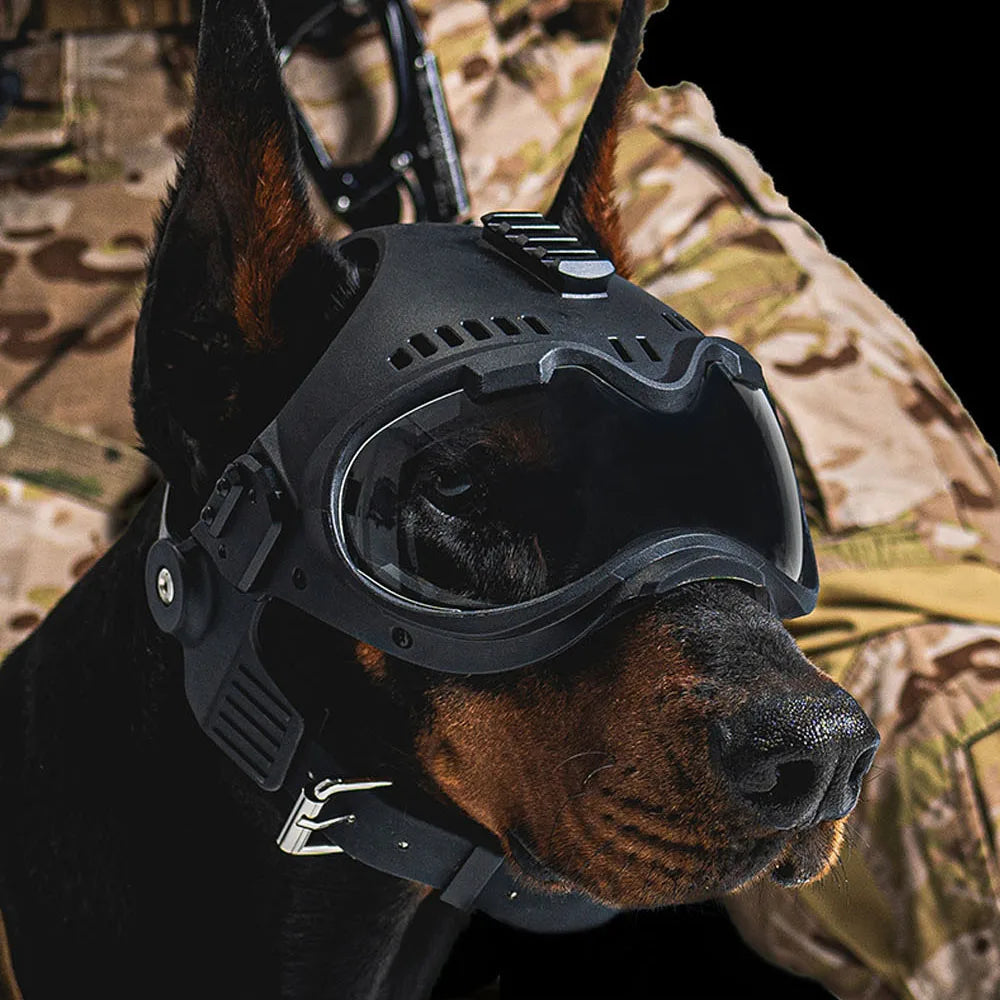 Tactical K9 Dog Helmet With Mounting Rail Goggles Outdoor Hunting Combat Training Large Patrol Dogs Sheepdog Pet Protection Gear