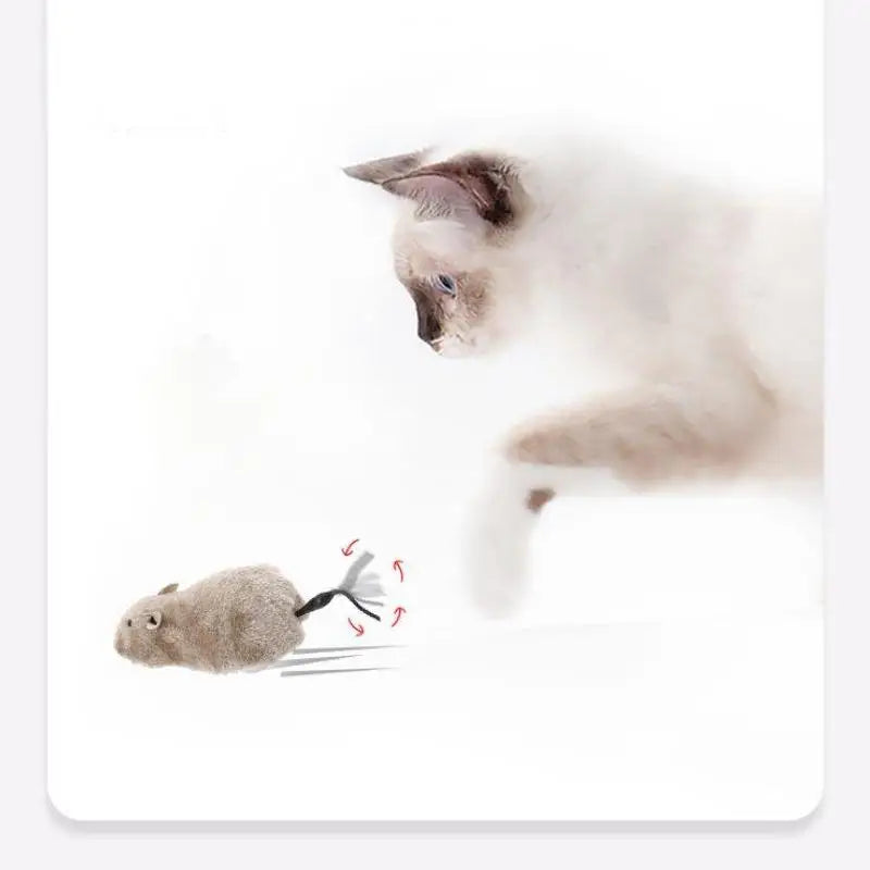 Wind-Up Lifelike Plush Running Mouse Toy for Cats & Dogs — Interactive Pet Toy with Tail (1-Pack, Assorted Colors)
