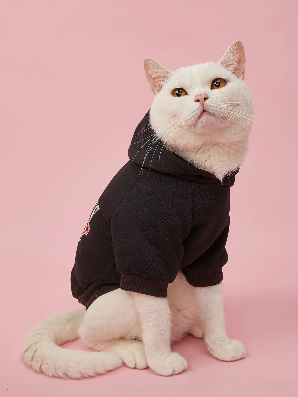 Pet Clothes for Dog Cat Puppy Hoodies Coat MOMMY'S BOY Sweatshirt Dog Outfits for Small Medium Dog Cat