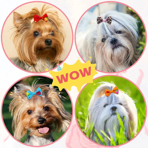 30-Pack Pet Hair Bows for Small Dogs and Cats Handmade Movable Puppy Bows with Elastic Bands for Yorkie Shih Tzu Grooming Party