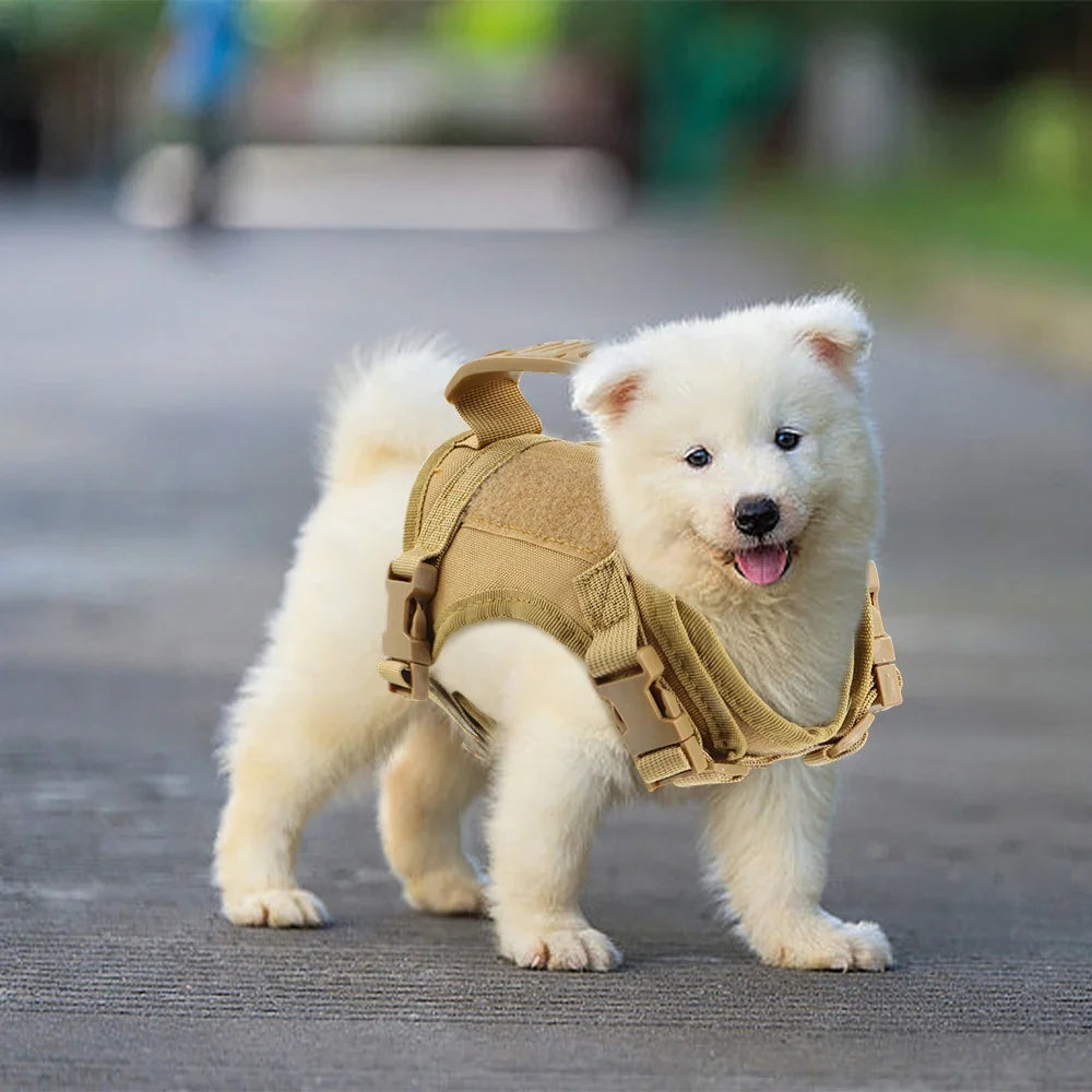 Tactical Puppy Harness For Small Dogs Adjustable Cat Harnesses Vest For Military Service Dogs Training Kitten Cat Accessories
