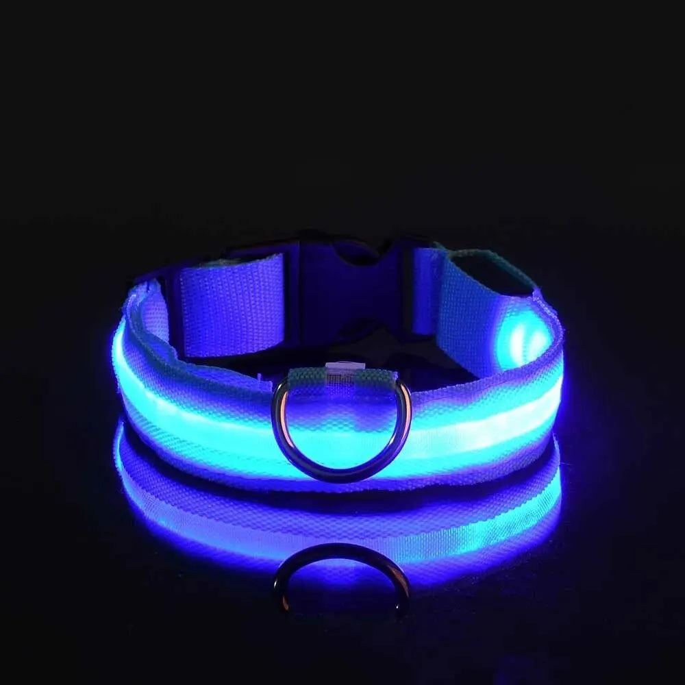LED Glow Nylon Dog Collar & Leash - Luminous Flashing Night Safety for Dogs Blue