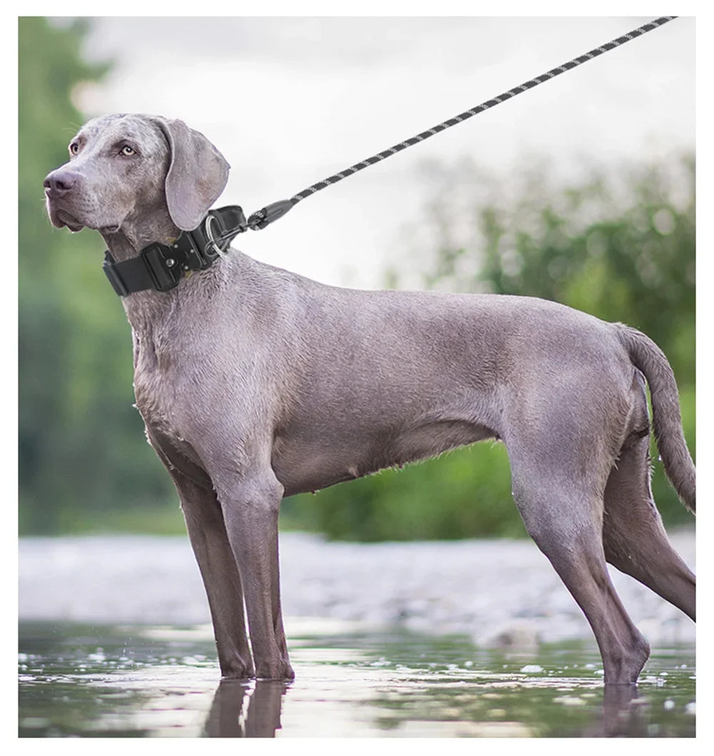 Tactical Dog Collar for Medium to Large Dogs 8 Colors Pet Collar Durable Comfortable Harness for Training And Control