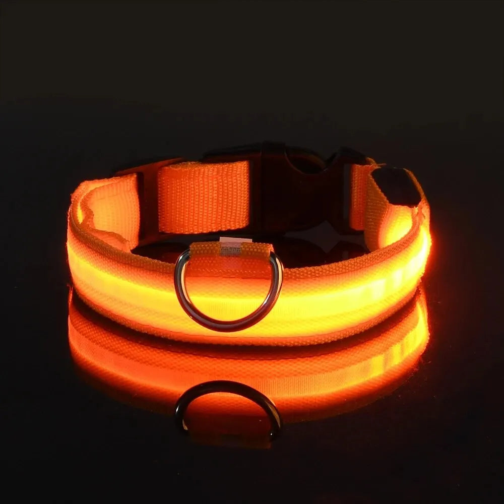 LED Glow Dog Collar & Leash Set – Nylon Luminous Reflective Safety Flashing Night Light for Pets Orange